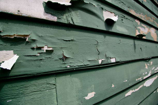 Best Composite Siding  in Willard, UT