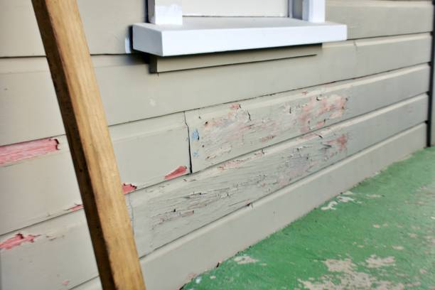Best Siding for New Construction  in Willard, UT